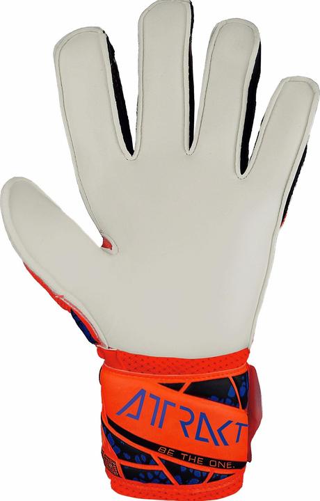 Produktbild Reusch torwarthandschuhe kind attrakt solid (4.5)