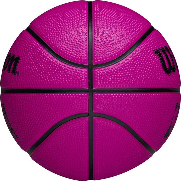 Actual product image Wilson Nba Drv Mini (3)