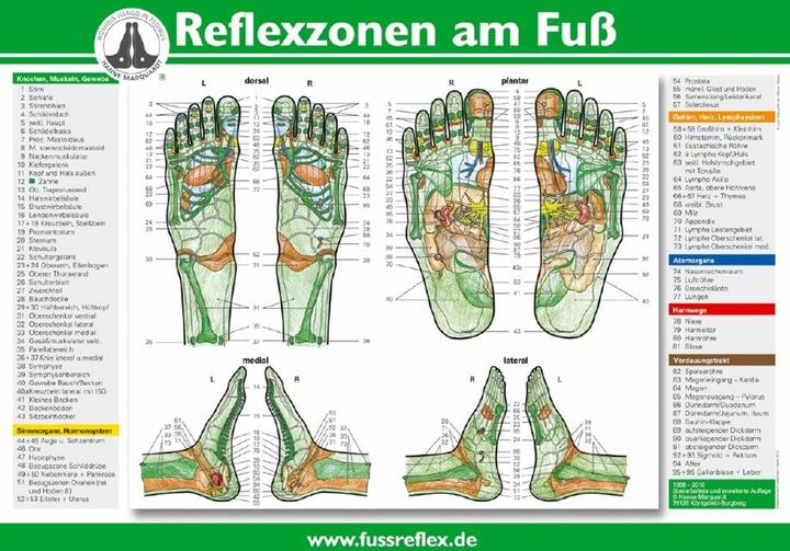 Produktbild Haug Reflexzonen am Fuss, Poster (A4) (30 x 22 cm)