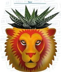 Image du produit Harry Potter : Pot de plantes Gryffondor