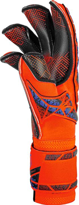 Produktbild Reusch Torwarthandschuh Attrakt Gold X - 9 (9)