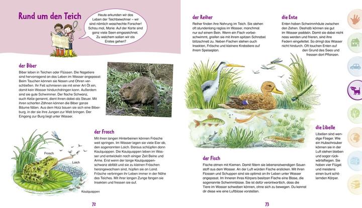 Produktbild Das grosse Fischer Kindergarten-Lexikon (Deutsch, Christina Braun, Sandra Reckers, Stefan Louis Richter, Hans-Günther Döring, 2022)