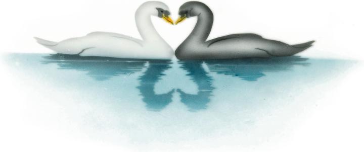 Image du produit Martellato Pochoir Airbrush Cygnes