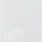 Actual product image Gira IBN button System 106 855800