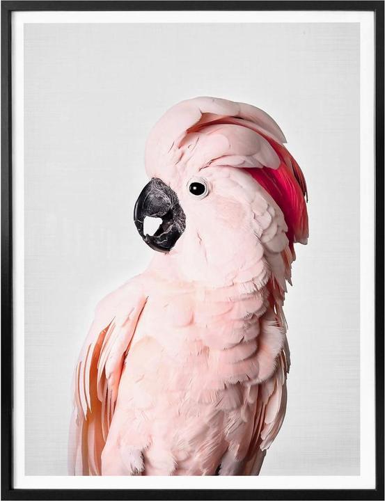Image du produit Trenddeko Cacatoès rose (30 x 40 cm)