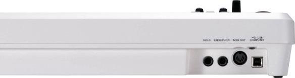 Actual product image Roland A-49 -Keyboard White with MIDI cable (49 Keys)