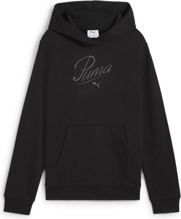 Produktbild Puma ESS SCRIPT Hoodie TR G (176)