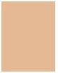 Actual product image Bourjois Healthy Mix Clean & Vegan Anti-Fatigue Concealer (51 Light Vanilla)