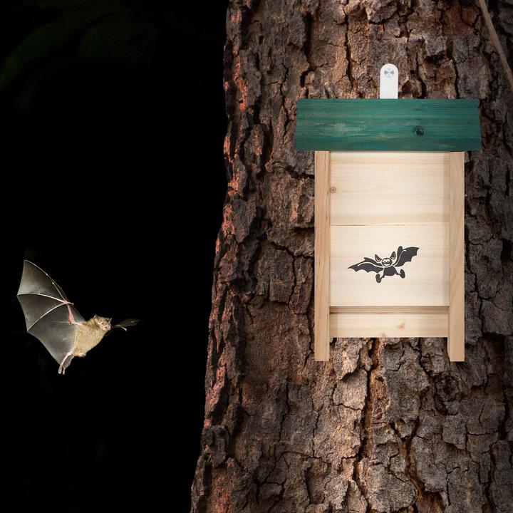 Image du produit Relaxdays Boîte à chauve-souris
