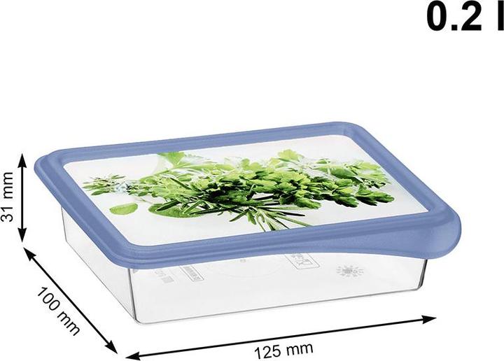 Produktbild Rotho Set Gefrierdosen Kräuter (0.20 l)