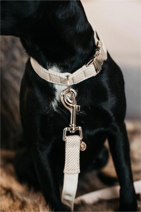 Actual product image Kentucky Dogwear Dog collar Wool (S, Dog, General)