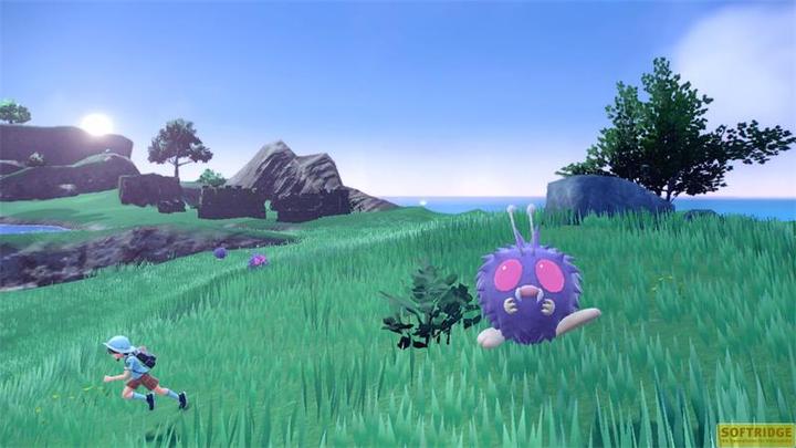 Produktbild Nintendo Pokémon Purpur + Der Schatz von Zone Null - Erweiterung (Switch, DE)