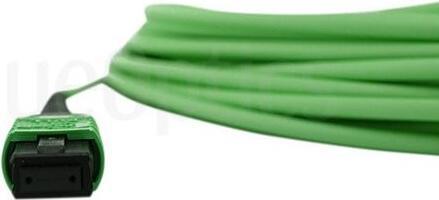 Image du produit BlueOptics Fibre optique MTP/APC Câble trunk OM5 16 coeurs 50 mètres type C (50 m)