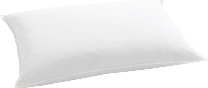 Image du produit Billerbeck Standard 250 (65 x 100 cm)