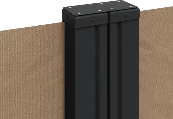 Actual product image VidaXL Extendable side awning (10 m)