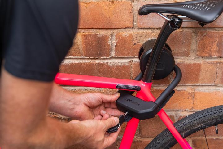 Actual product image HipLok Ankr