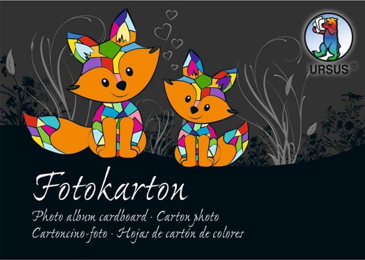 Ursus Bloc de carton photo A6 11406499S 300g, 51 couleurs 60 feuilles (300 g/m², 1 x)
