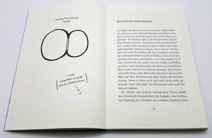 Produktbild Wunder im Bauch (Deutsch, Katharina Vestre, 2019)