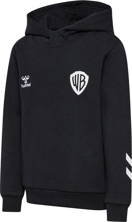 hummel Hmlcelebrating Story Hoodie