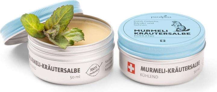 Produktbild Puralpina Murmeli-Kräutersalbe kühlend (1 x, 50 ml, 70 g)