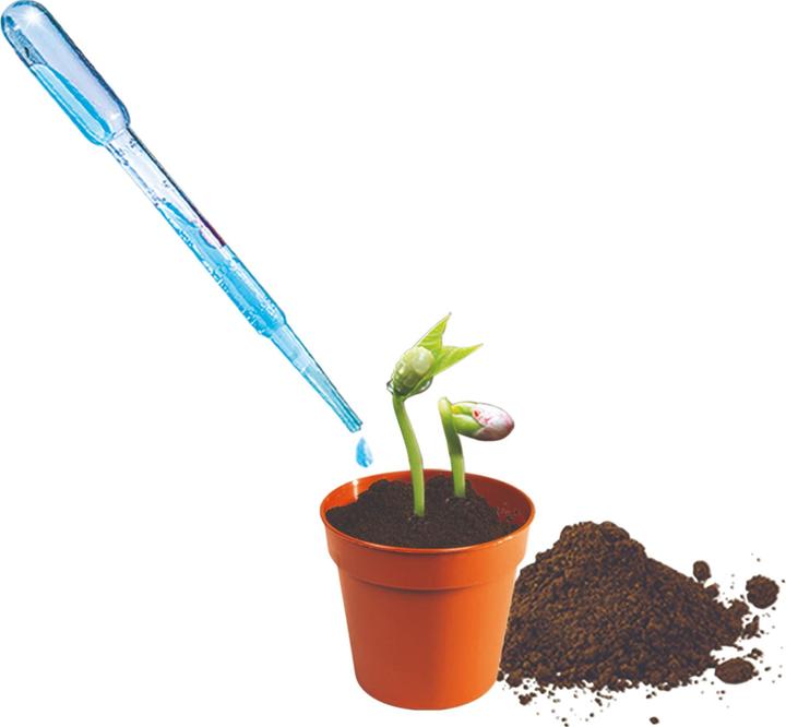 Produktbild Clementoni Wissenschaft Gewächshausbau Mini
