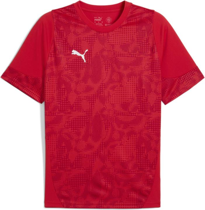 Puma teamCUP Training Jersey