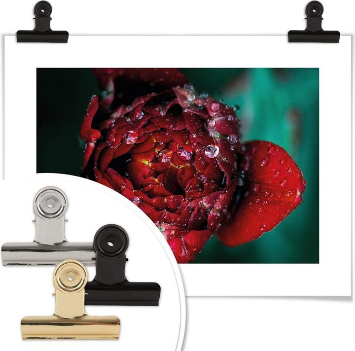 Immagine prodotto Trenddeko Peonia dopo la pioggia (30 x 24 cm)