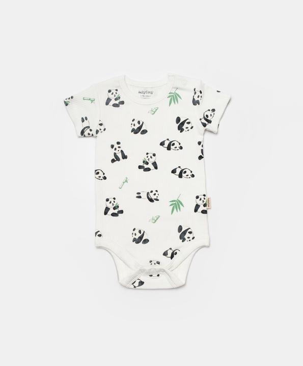 Actual product image BabyCosy 2 Pcs short sleeved Body (68)