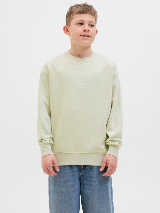 Actual product image Jack & Jones Gedruckt Sweatshirt Junior Sweatshirt (152)