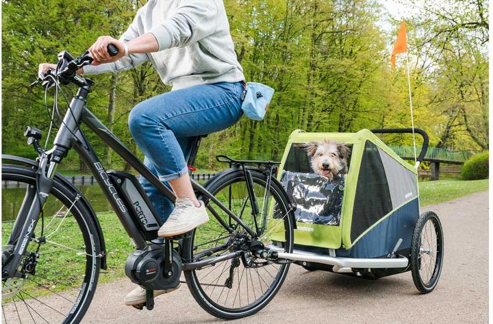 Image du produit Croozer Dog Jokke