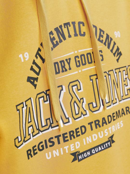 Produktbild Jack & Jones JJELOGO SWEAT HOOD 2 COL 24/25 NOOS (L)