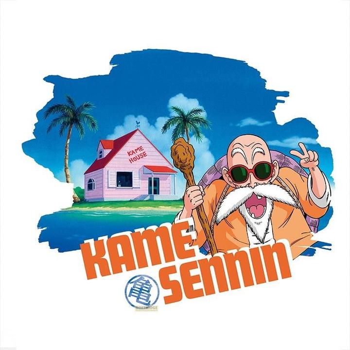 Actual product image ABYstyle DRAGON BALL - Tshirt DBZ Master Roshi man SS white - New fit (M)