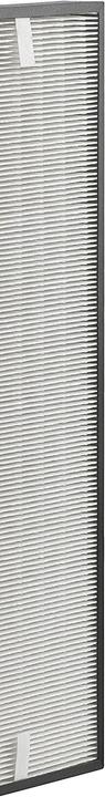 Image du produit Rowenta XD6070 Filtre Hepa/PU4010 (1 x)