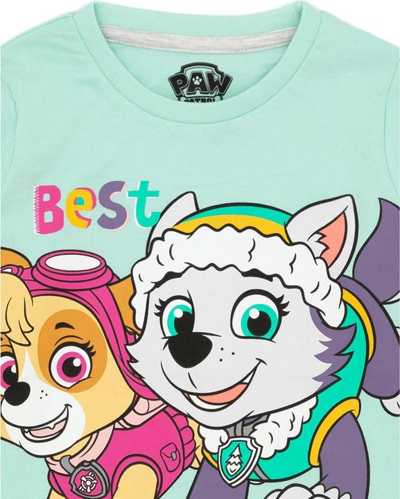 Produktbild Paw Patrol Skye & Everest (116)