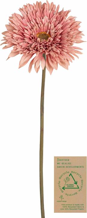 Botanic-Haus Fleur artificielle Gerbera, vieux rose, 63 cm (63 cm)