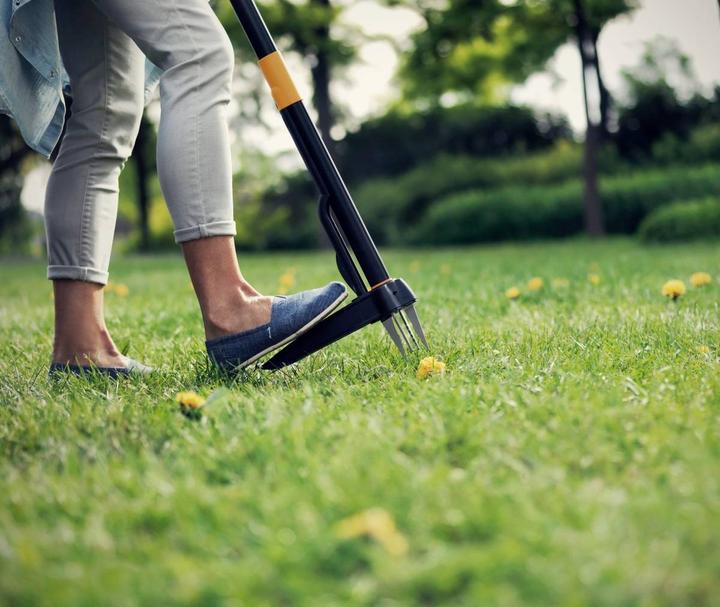 Actual product image Fiskars Xact