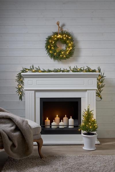 Image du produit Star Trading Thuja