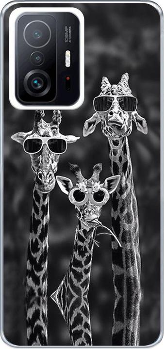 3 giraffes