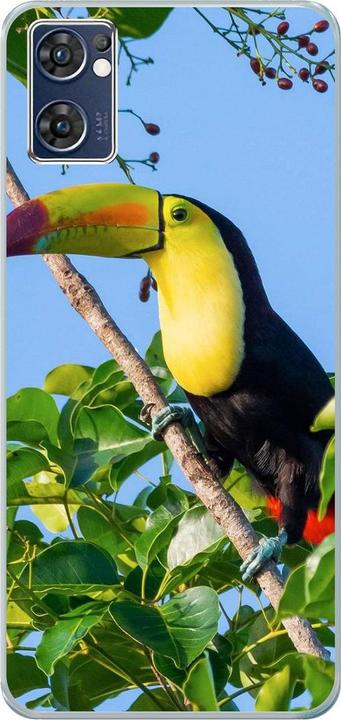 Tucan