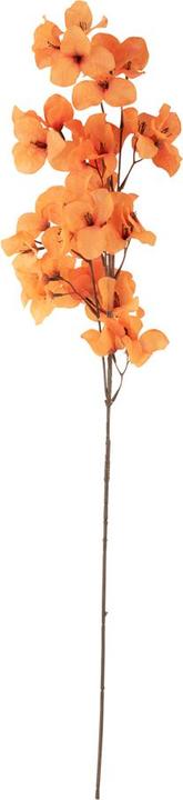 present time Flower Stem (86.40 cm)