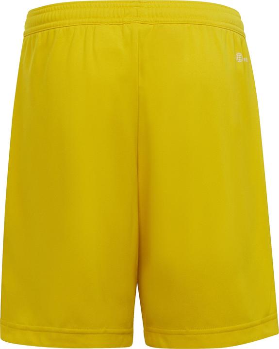 Actual product image adidas Children's shorts Entrada 22 yellow IC7411 (140cm) (140)