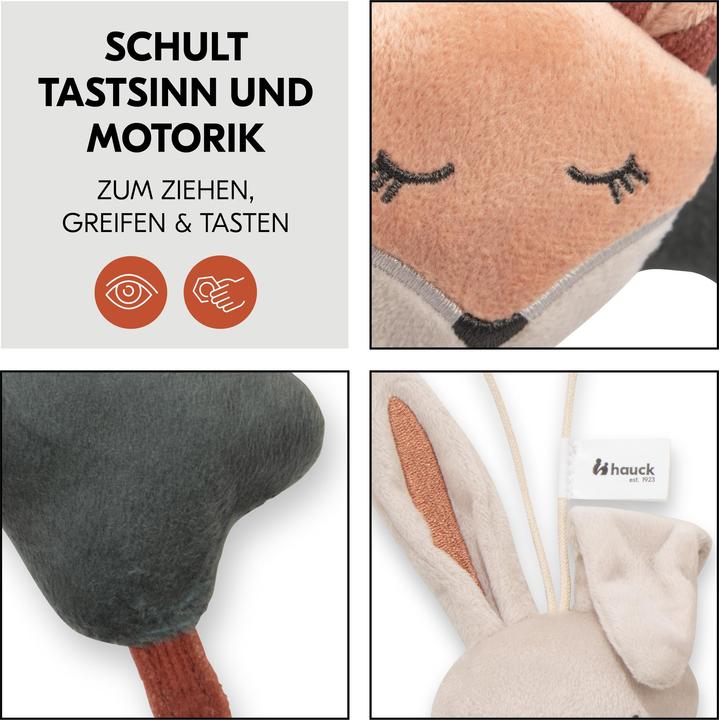 Produktbild Hauck Forest