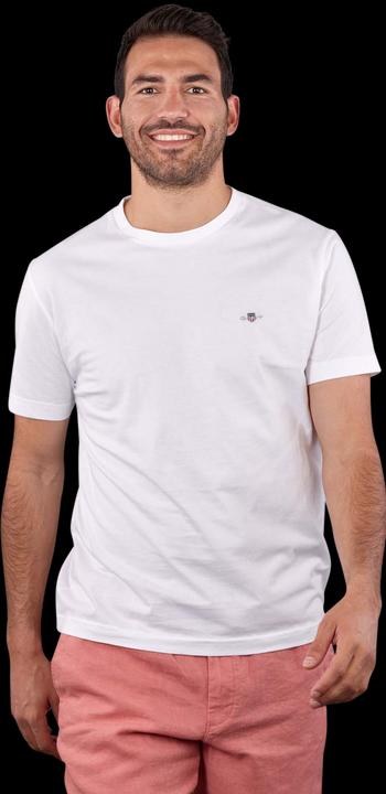 Actual product image GANT Regular Fit (3XL)