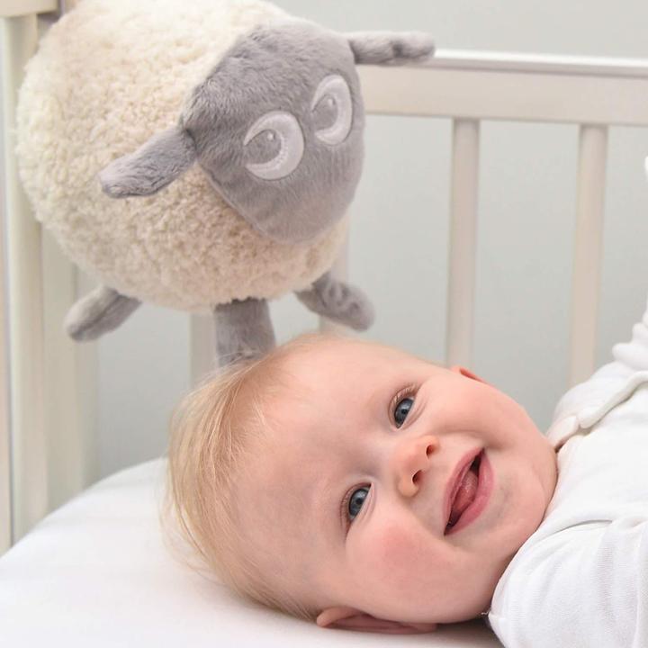 Actual product image Sweet Dreamers Ewan the dream sheep (17 cm)