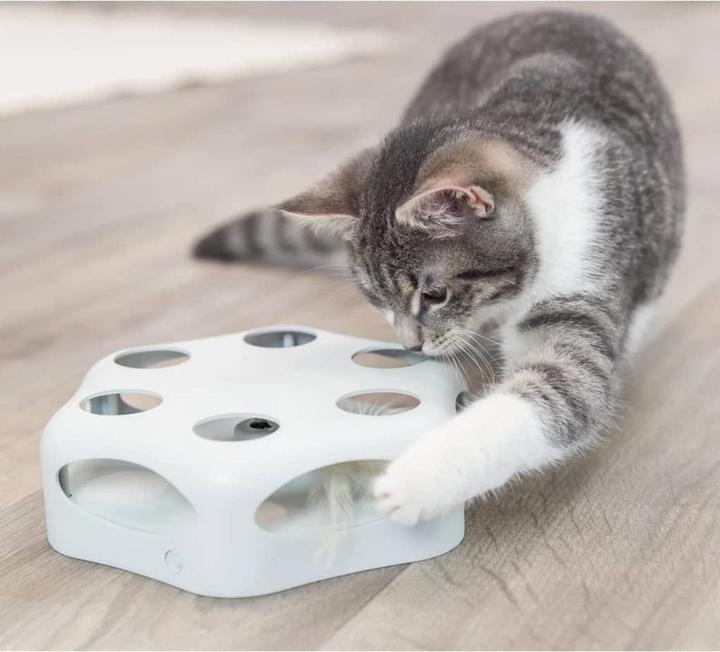 Image du produit Trixie Plume qui tourne (Jouet d'occupation chat)