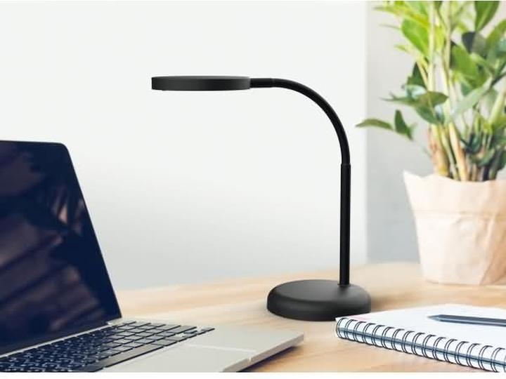 Actual product image Maul Joy (480 lm)
