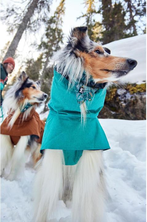Actual product image Hurtta Monsoon V2 Eco green mackintosh, 60 cm (60, Dog raincoat)