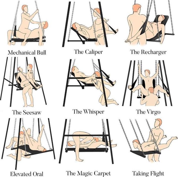 Actual product image Master Series Throne - Adjustable Sex Sling with Stand