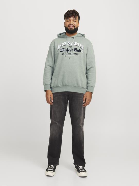 Image du produit Jack & Jones JJELOGO SWEAT HOOD 2 COL 24/25 NOOS PLS (6XL)