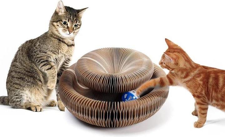 Hermex Cat toys (Cat activity toy)